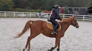 TRENING SKOKOWY NA SZACHU