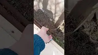 отрезок искусственной норы для притравки ягдтерьера. Рыбалка охота ягдтерьер🦡