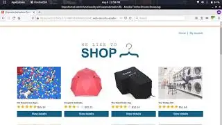 Unprotected admin functionality with unpredictable URL (Video Solution) | 2021