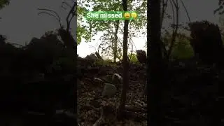 2023 friends wife shooting at a turkey #hunting #viral #turkeyhunting #viral #turkeyhunt #turkey