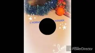 Как я провела этот год