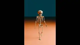 Skeleton #3d #3danimation #blender