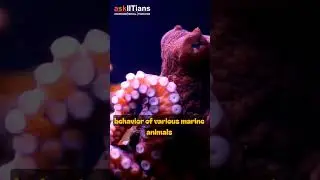 Mimic Octopus: Master of Illusion in the Ocean Depths 🐙 | Underwater Wonders #askiitians