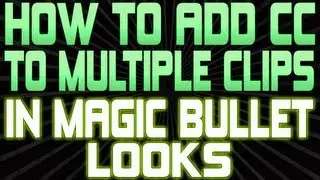 How To Add Color Correction To Multiple Clips In Magic Bullet Looks for Sony Vegas Pro 12