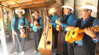 Conjunto Los Barragan- Eres flor, eres hermosa