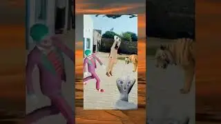 dahlah