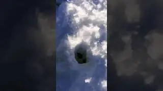 Мышь на рыбалке.