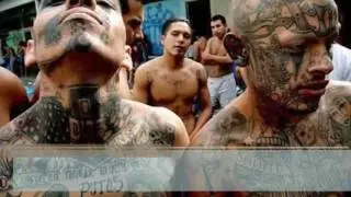 World's Biggest Gangs in Prison and The Streets