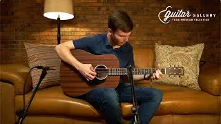 Martin D-10E 01 (All Sapele)