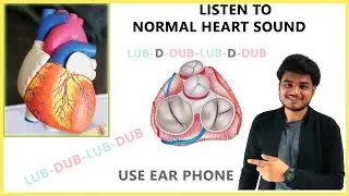 Normal heart sounds | Use ear phone ||  RJDS MEDIX