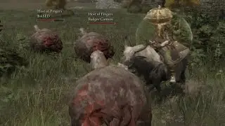 barnacle sheep and the good shepherd (elden ring seamless co-op)