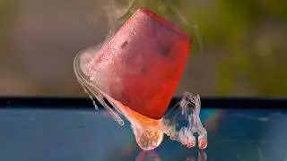Molten Salt Explosion at 82,000 FPS - The Slow Mo Guys