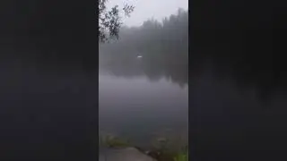 #красота