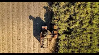 Sorgenia Bioenergie: Optimising the biomass supply chain