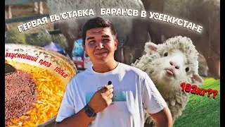 25.09.2022г. ВПЕРВЫЕ В УЗБЕКИСТАНЕ МЕЖДУНАРОДНАЯ ВЫСТАВКА ОВЕЦ