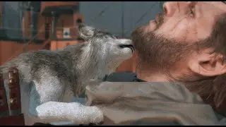 MGSV - HOW TO GET  D-DOG
