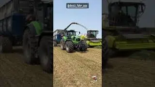 Chop Chop.  Making Cow Chow  