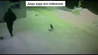 ТИК ТОК ПРИКОЛЫ/БЕГУТ РЕБЯТА