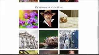 Виджет LzyImg: Отложенная загрузка изображений для Adobe Muse