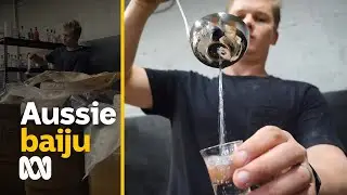 Making baijiu: Distilling the world’s most popular spirit in Tasmania | ABC Australia