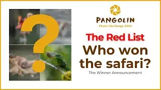 Red List Photo Challenge Winner Show