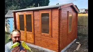 New Bird Room! Bird Room Update January 2022