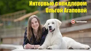 Стрим #11 / Интервью с хендлером Ольгой Агаповой
