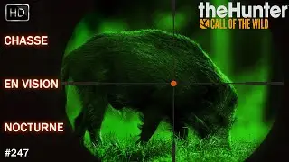 THEHUNTER CALL OF THE WILD #247 ON CHASSE EN VISION NOCTURNE SUR YUKON VALLEY [ CHASSE DANGEREUSE ]