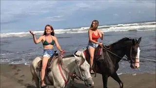 Horses Costa Rica Music copyrights Songwriters ERIKA ENDER, LUIS FONSI, RAMON AYALA
