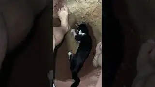 Day 194 of digging a hole to China
