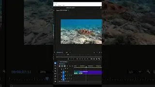 How to Cut, Trim, and Delete Videos in Premiere Pro Step by Step