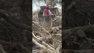 Как избавиться от веток 
