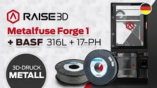 Raise3D Forge1 und BASF Ultrafuse Metal-Filaments - Grober Überblick - Metalldruck mit Filament