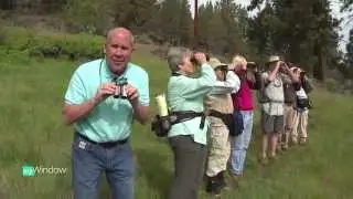 This hike is for the birds ... literally by John Hammarley