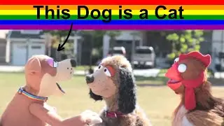 WATCH Transgender Propaganda Video Shown to 4th GRADE CHILDREN in Elementary School