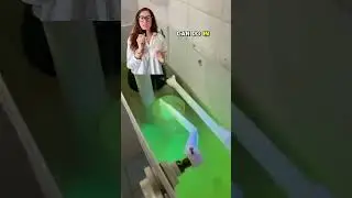 Toilet seat UP or DOWN???