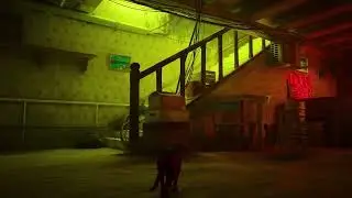 STRAY - New Gameplay (No Commentary)