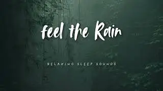 Rain Sounds for Relaxing Sleep | Rain Sound | Sleep Sounds | Sleep Music | Relaxing Sleep Music