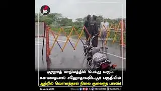 குஜராத்: ஆற்றில் வெள்ளத்தால் நிலை குலைந்த பாலம்! | Gujarat | Flood