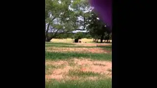 Gamo varmint hunter penetration test