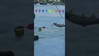 Цепляй давай!