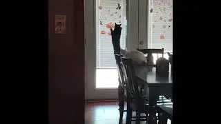 Lucky Popcorn