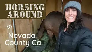 Charming 1 bedroom for Dakota & Willow | Realtor Humor