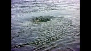 Fluid Mechanics Free Vortex Motion Captured by Wonderful guy
