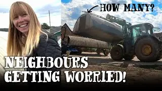 WE GOT A BIT CARRIED AWAY! - Most random FB Marketplace purchase ever?