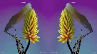 Flume - Say It ft. Tove Lo (Almost Studio Acapella)