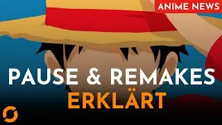 NOCH ein One Piece REMAKE?!!