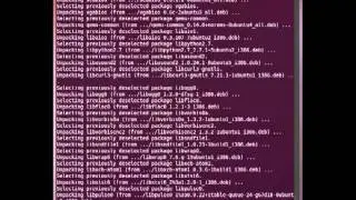 Run a Linaro Build Using QEMU in Under 5 Minutes