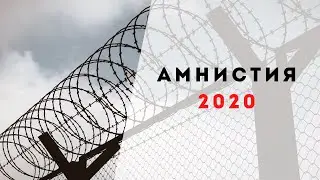 Амнистия 2020