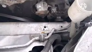 Ford focus water pump replacement